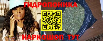 ECSTASY Бийск